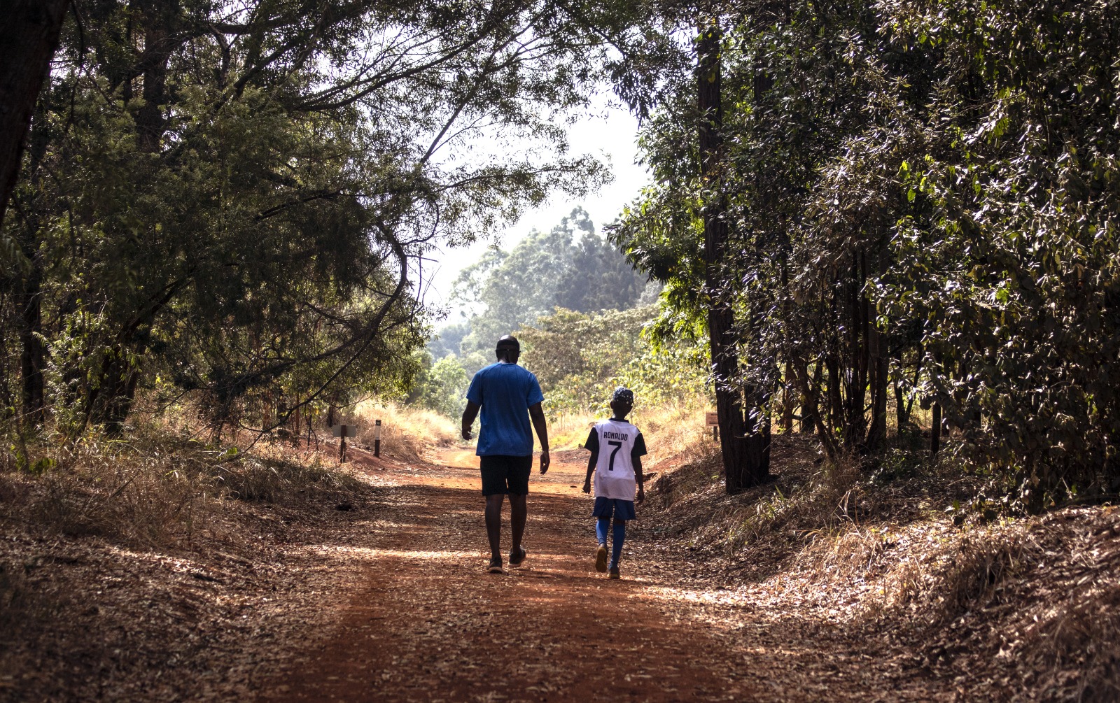 Karura Forest Walk