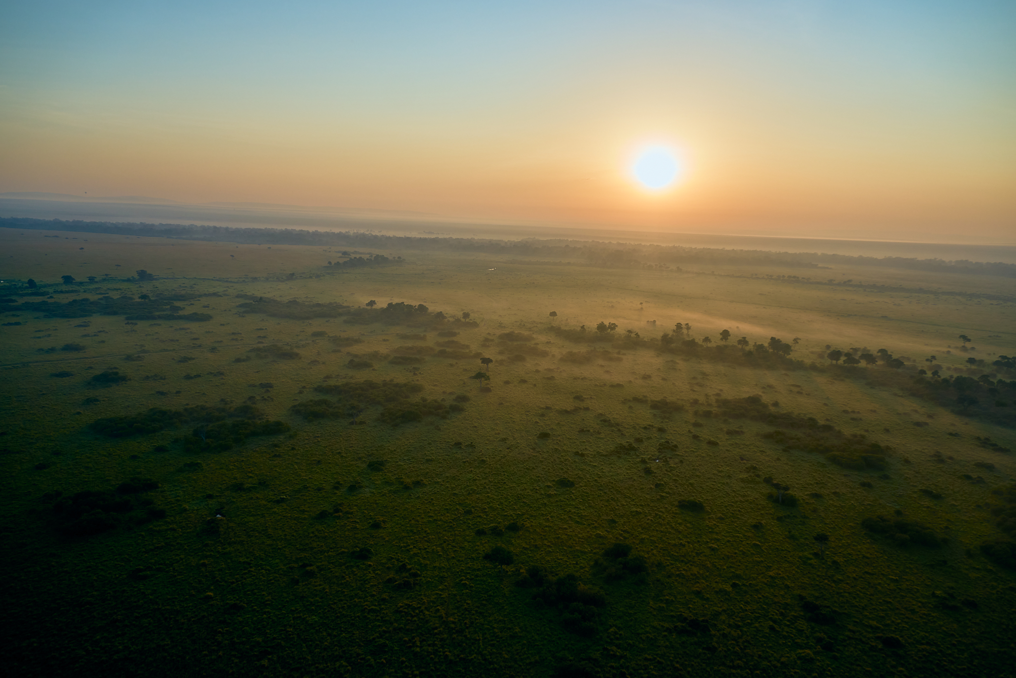 Nairobi National Park Safari